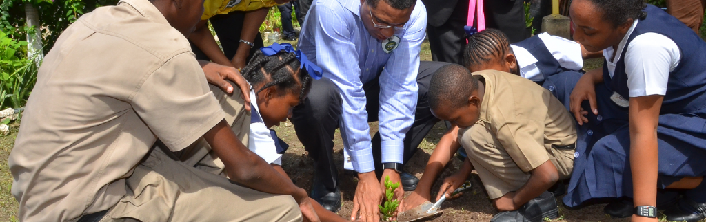 PM Holness Urges Jamaicans to Plant Trees
