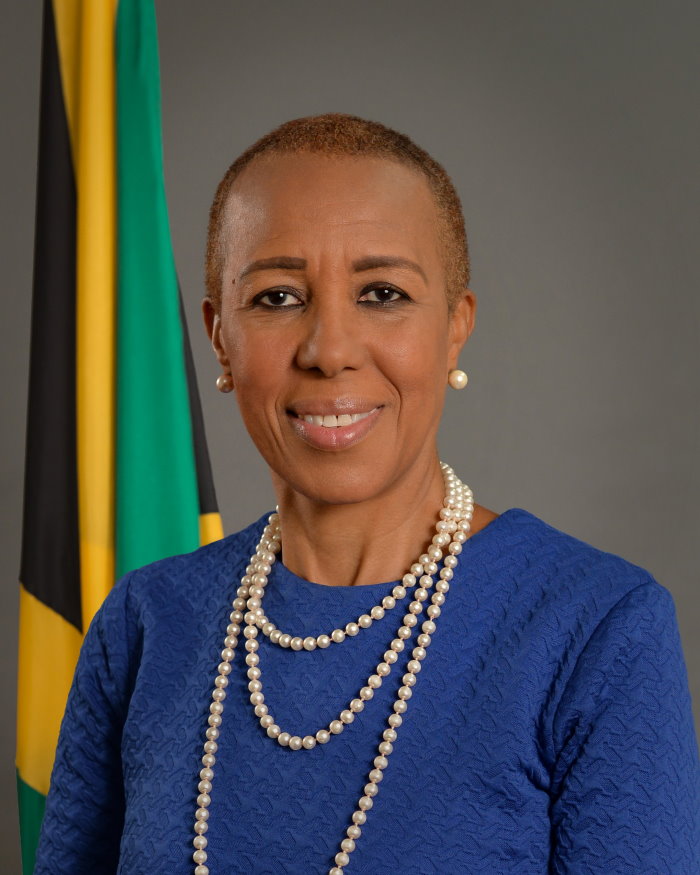 The Minister of Finance and the Public Service, the Honourable Fayval ...