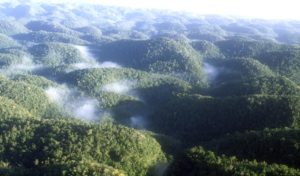 PM Holness Announces Boundaries for Cockpit Country