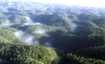 PM Holness Announces Boundaries for Cockpit Country
