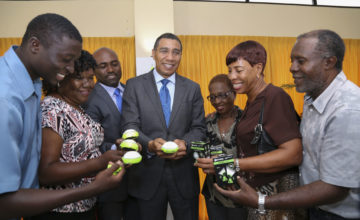 Energy Efficient Solar Lamps Pilot