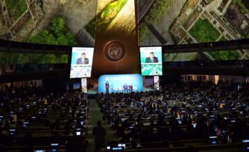 Three Million Trees to be planted in Three Years to Mitigate Against Climate Change