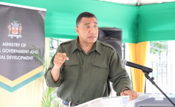 Government Rolls Out “Operation Get Every Illegal Gun”