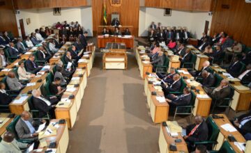 Parliament Increased Productivity Despite Challenges with Global Pandemic
