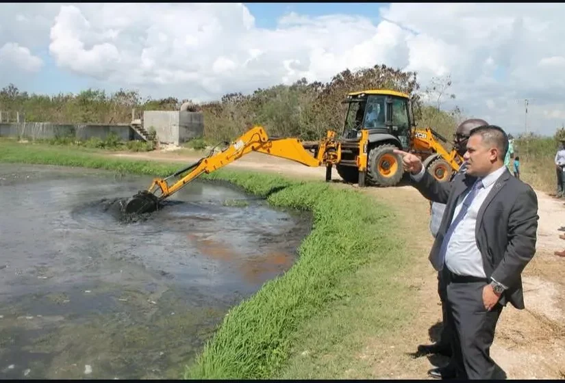 Government Taking Steps To Protect Wildlife at Portmore Sewage Ponds