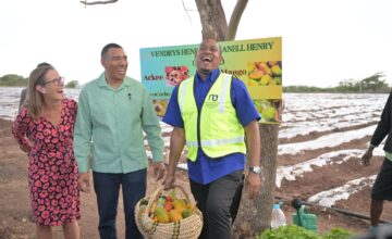 More than 300 Young Jamaicans to Get Hands on Training to Strengthen Agriculture and Food Processing