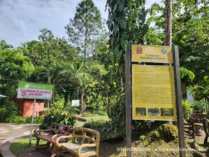 Government Announces $234M Castleton Botanical Gardens Restoration to Boost Climate Resilience and Eco-Tourism