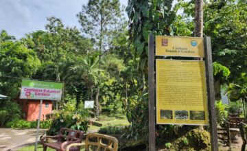 Government Announces $234M Castleton Botanical Gardens Restoration to Boost Climate Resilience and Eco-Tourism
