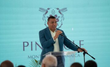 The Pinnacle | Tower One Topping Out Ceremony Bogue Reading Peninsula
