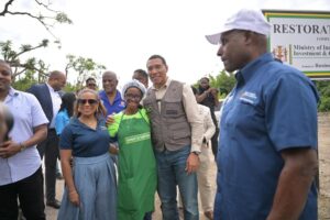 Government Building Institutional Resilience to Safeguard Public Services in Times of Disaster