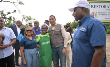 Government Building Institutional Resilience to Safeguard Public Services in Times of Disaster