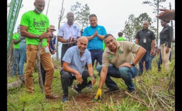 Ceremonial Launch of Re-Leaf Initiative