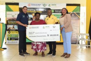 Ministry of Labour and Social Security Clarifies One Grant Per Household