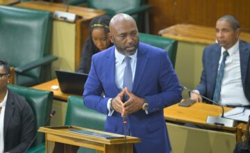 Government Launches Growing AI Innovation and National Skills Programme