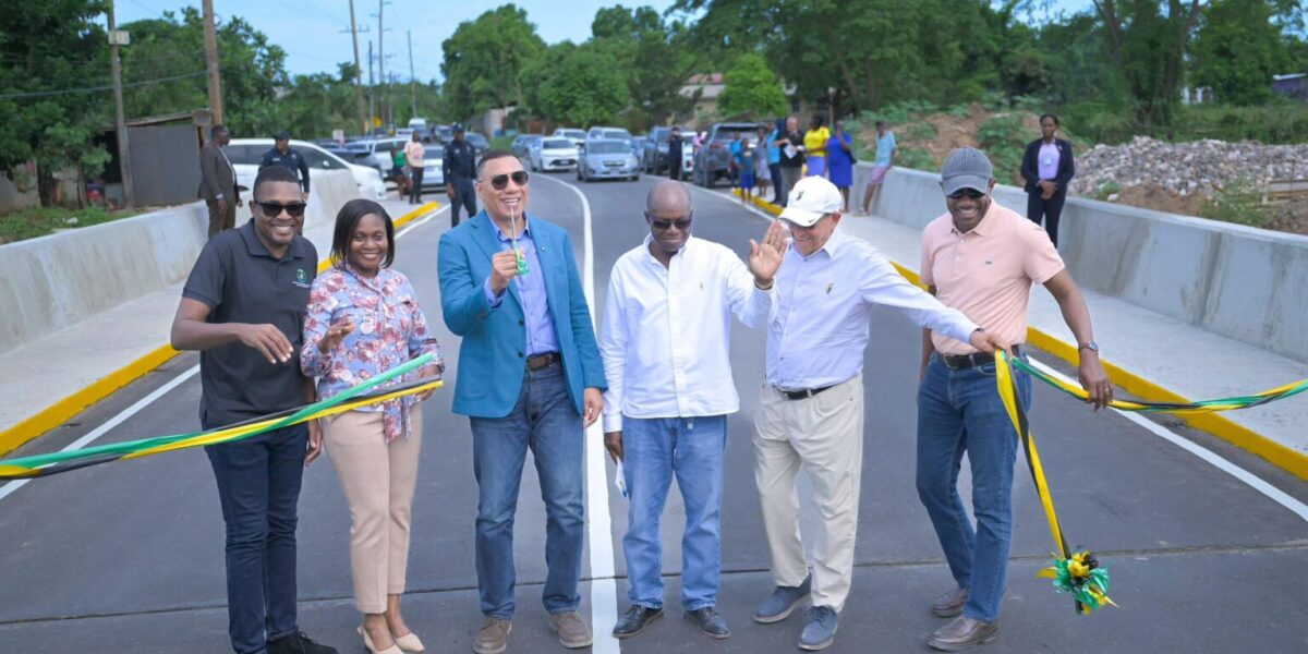 Opening of the Nightingale Grove Spring Village Bridge